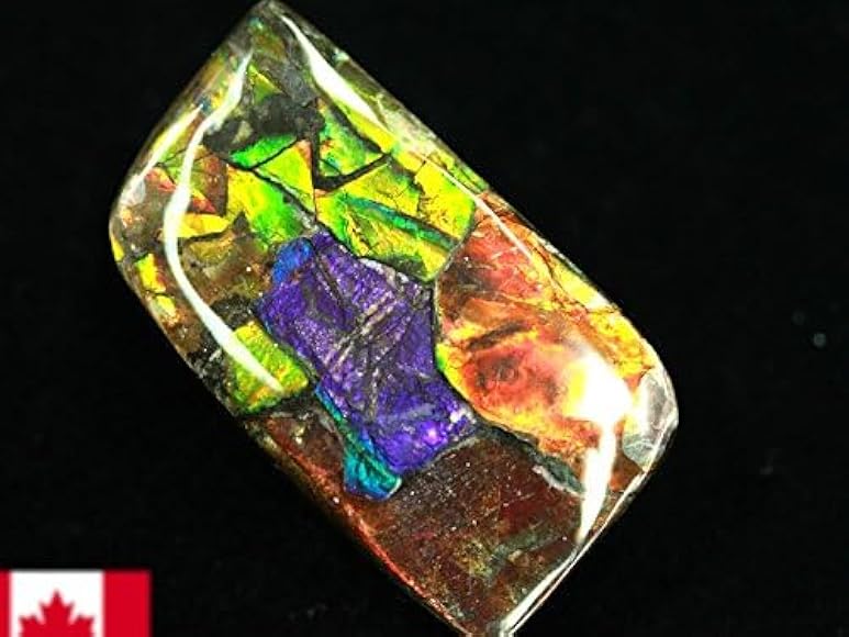 アンモライト　タンブル　E アンモライトタンブル E